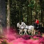 prihod s kocijo brdo pri kranju