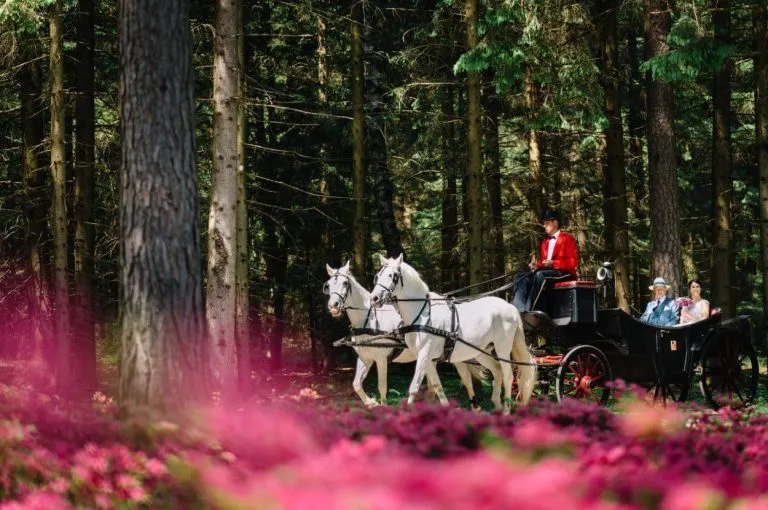 prihod s kocijo brdo pri kranju